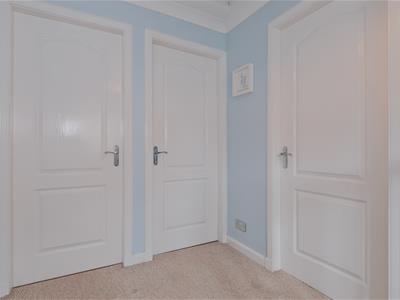 Picture 20